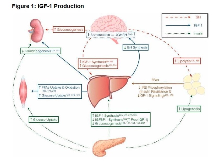 Doctor and patient reviewing hormone test results and insurance coverage options